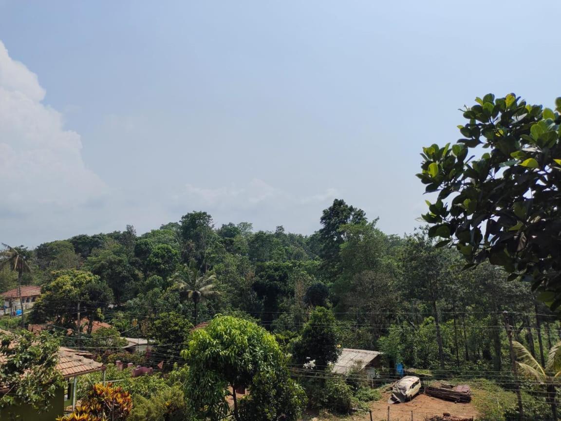 Green Land Estate Homestay 5 Rooms With Garden View Madikeri Luaran gambar