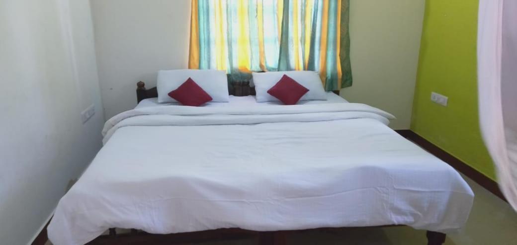 Green Land Estate Homestay 5 Rooms With Garden View Madikeri Luaran gambar