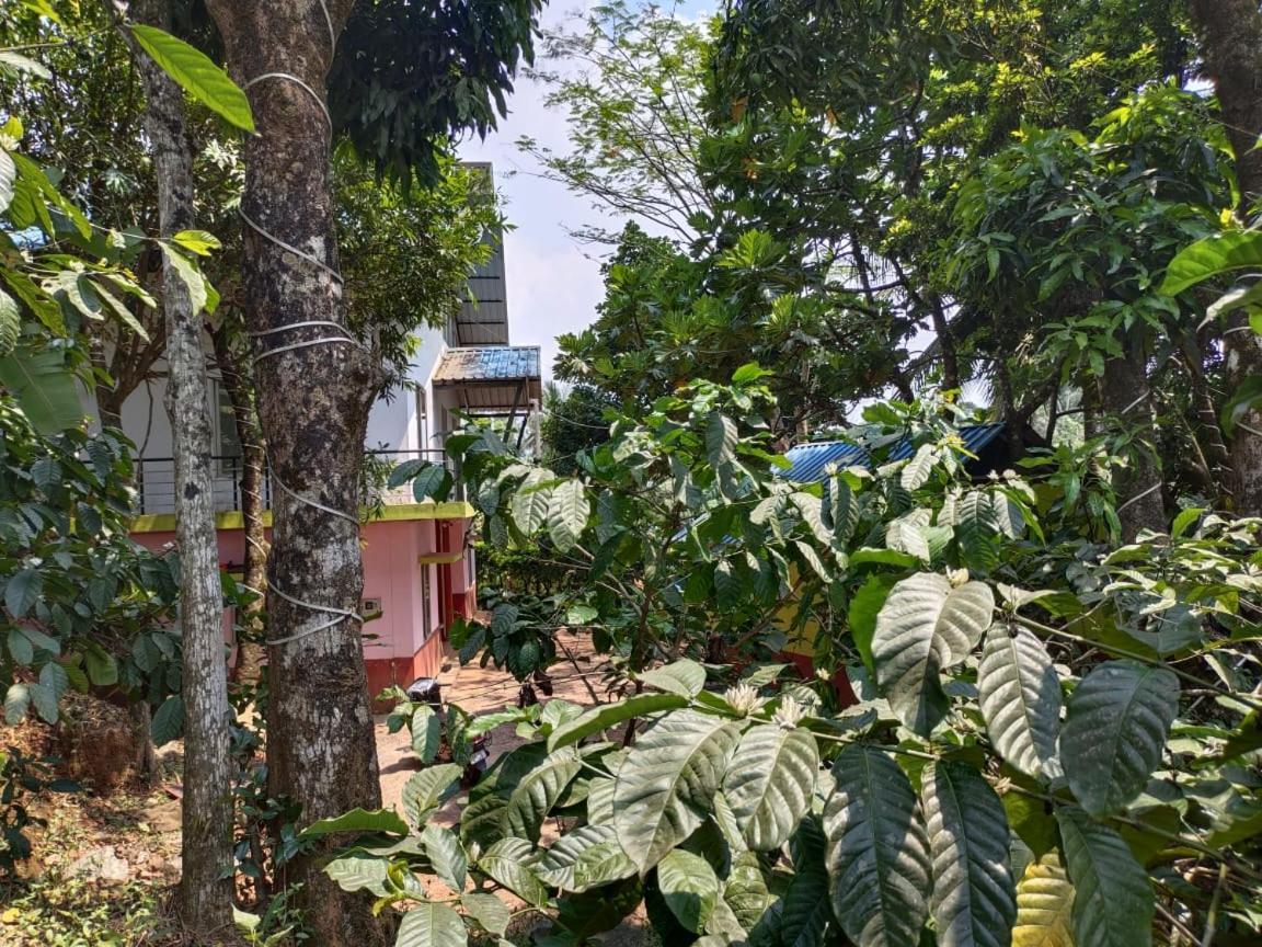 Green Land Estate Homestay 5 Rooms With Garden View Madikeri Luaran gambar